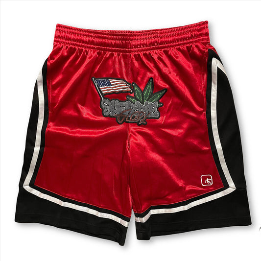 SHORDIE GLORY AND1 SHORTS *RED*